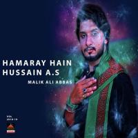 Shabir Di Ghurbat Te Humsheer Rondi Piye Ae Malik Ali Abbas Song Download Mp3