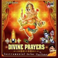 Shivashtakam Pravin Godkhindi Song Download Mp3