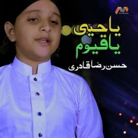 Ya Hayyu Ya Qayyum Hassan Raza Qadri Song Download Mp3