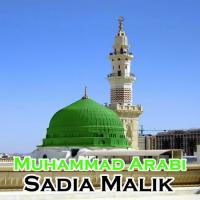 Jidhar Jidhar Bhi Gaye Sadia Malik Song Download Mp3