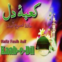 Mere Aaqaa Hafiz Fasih Asif Song Download Mp3