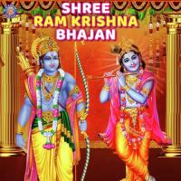 Hare Rama Hare Krishna Rajalakshmee Sanjay Song Download Mp3