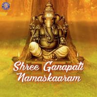 Ganesh Mantra Vighnesh Ghanapaathi,Gurumurthi Bhat,Shridhara Bhat Vedadhara Song Download Mp3