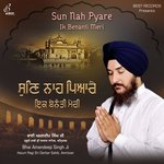 Tina Dekh Mann Chao Uthanda Bhai Amandeep Singh Ji Song Download Mp3