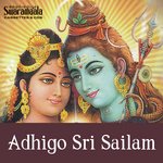 Shambo Maha Deva S. P. Balasubrahmanyam,Gopika Poornima Song Download Mp3