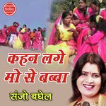 Chunariya Ke Daag Sanjo Baghel,Vinod Sain Song Download Mp3