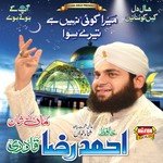 Mera Koi Nahi Hai Tere Siwa Hafiz Ahmed Raza Qadri Song Download Mp3