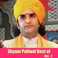 Maney Kesariyo Rangwa Shyam Paliwal Song Download Mp3