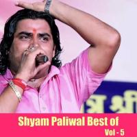 Mehndi Mataji Re Shyam Paliwal Song Download Mp3