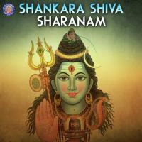 Purusha Suktam (Shiva) Vighnesh Ghanapaathi,Gurumurthi Bhat,Shridhara Bhat Vedadhara Song Download Mp3