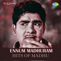 Etho Etho (From "Arikkaari Ammu") K.J. Yesudas,Usha Ravi Song Download Mp3