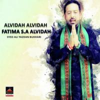 Ghazi Day Gal Vich Bahen Pake Aakhe Ro Ro Shabir Ae Syed Ali Yazdan Bukhari Song Download Mp3