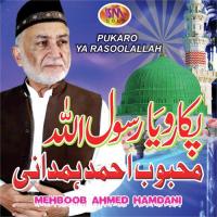 Teri Jaaliyon Ke Neechay Mehboob Ahmed Hamdani Song Download Mp3