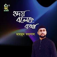 Ridoy Boleche Kotha Mahmud Faysal Song Download Mp3