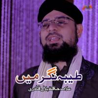 Taiba Nagar Main Allama Hafiz Bilal Qadri Song Download Mp3