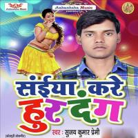 Saiya Kare Hudhdang Sujay Kumar Premi Song Download Mp3