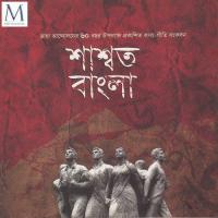 Banglar Buke Rojleen,Tomal Song Download Mp3