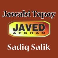 Da Pekhawar Me Da Zra Sar Sadiq Salik Song Download Mp3