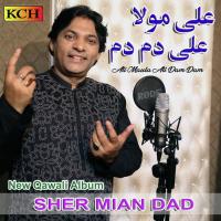 Wo Zahra Hain Sher Mian Dad Song Download Mp3