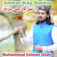 Wali Ay Konain Da Muhammad Salman Qadri Song Download Mp3