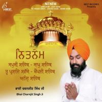 Japji Sahib, Pt. 2 Bhai Charnjit Singh Ji Song Download Mp3