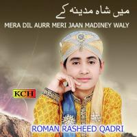 Hussain Ibne Ali Roman Rasheed Qadri Song Download Mp3