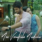 Nee Venakale Nadichi Chinmayi Sripada Song Download Mp3