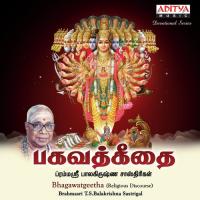 Bhagawathgeetha Brahmasri T.S. Balakrishna Sastrigal Song Download Mp3