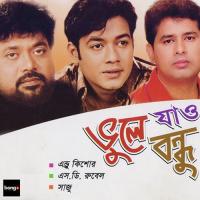 Boro Koshte Achi Saju Song Download Mp3