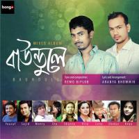 Megher Meye Remo Biplob,Monty Song Download Mp3