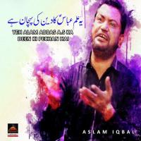 Kiya Khoob Kalma Go Ne Mayyat Pay Teer Maaray Aslam Iqbal Song Download Mp3