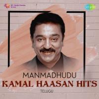 Yevayyo Yevayyo (From "Theenali") S. P. Balasubrahmanyam,K. S. Chithra Song Download Mp3