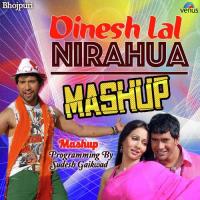 Tu Laila Hau Hamar - Mashup Udit Narayan,Pamela Jain,Kalpana,Vipin Sachdeva,Indu Sonali,Dinesh Lal Yadav Nirahua,Minu Arora,Parveshlal Yadav,Anupama Song Download Mp3