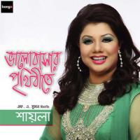 Bhalobasher Prithibi Shayla Sabrin Polly Song Download Mp3