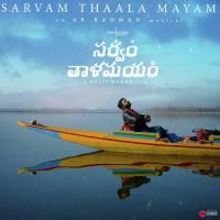 Maakelara Vichaaramu Bombay Jayashri Song Download Mp3