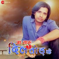 Ja Tadu Dil Tod Ke Vivek Chaubey Song Download Mp3