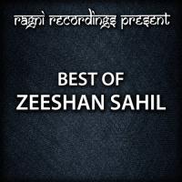 Email Zeeshan Sahil Song Download Mp3