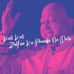 Phiroun Dhondhta Maikada Nusrat Fateh Ali Khan Song Download Mp3