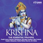 Krishna Mahamantra - Hare Krishna Bhai Gurdev Singh Hazoori Raagi Darbar Sahib,Amritsar,Bhai Balwinder Singh Lopoke Hazoori Raagi Darbar Sahib,Bhai Amritpal Singh Sangroor Wale Song Download Mp3