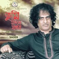 Tumi Chile Jokhon Shoeb Song Download Mp3