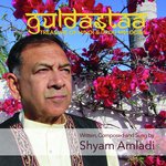 Too Roop Bhagwati Ka Laxmi Tujh Hee Main Samaye Maa Shyam Amladi Song Download Mp3