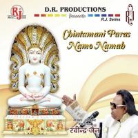 Chintamani Parsva Kahaye Ravindra Jain,Satish Dehra,Meenal Jain,Deepmala Yedeloo Song Download Mp3