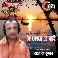 Bojhena Hridoy Aloke Kumar Song Download Mp3