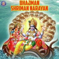 Om Namo Bhagwate Vasudevay Ketan Patwardhan Song Download Mp3