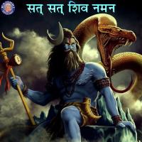 Mahamrityunjaya Jaap Rajalakshmee Sanjay Song Download Mp3