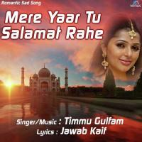 Ye Tera Mazak Thehra Timmu Gulfaam Song Download Mp3