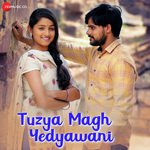 Tuzya Magh Yedyawani Adarsh Shinde Song Download Mp3