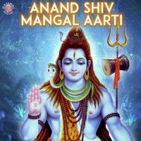 Purusha Suktam (Shiva) Vighnesh Ghanapaathi,Gurumurthi Bhat,Shridhara Bhat Song Download Mp3