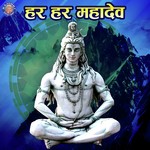 Om Namah Shivaya Vighnesh Ghanapaathi,Gurumurthi Bhat,Shridhara Bhat Song Download Mp3