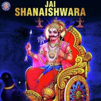 Shani Graha Mantra Vighnesh Ghanapaathi,Gurumurthi Bhat,Shridhara Bhat Song Download Mp3